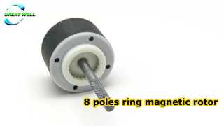 8 kutuplu halka manyetik rotor