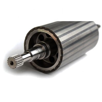 AlNiCo Custom Permanent Magnetic Assembly Steel Radial Multipole Magnet Rotor